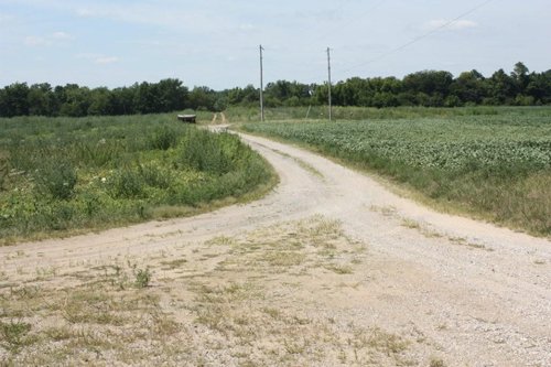 Property photo 1 - 78 Acres offered in 1 tract
